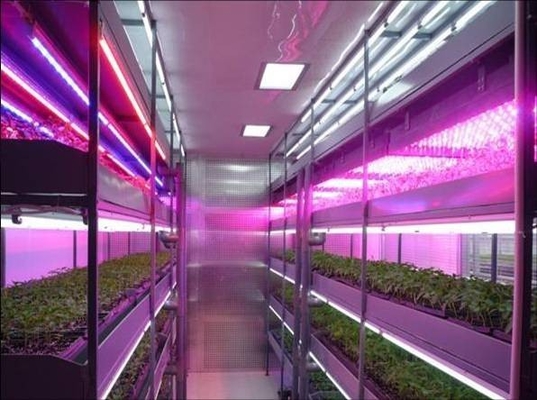 T8 impermeabilizzano le luci progressive della pianta del LED, le luci progressive del LED per le piante d'appartamento ed i raccolti